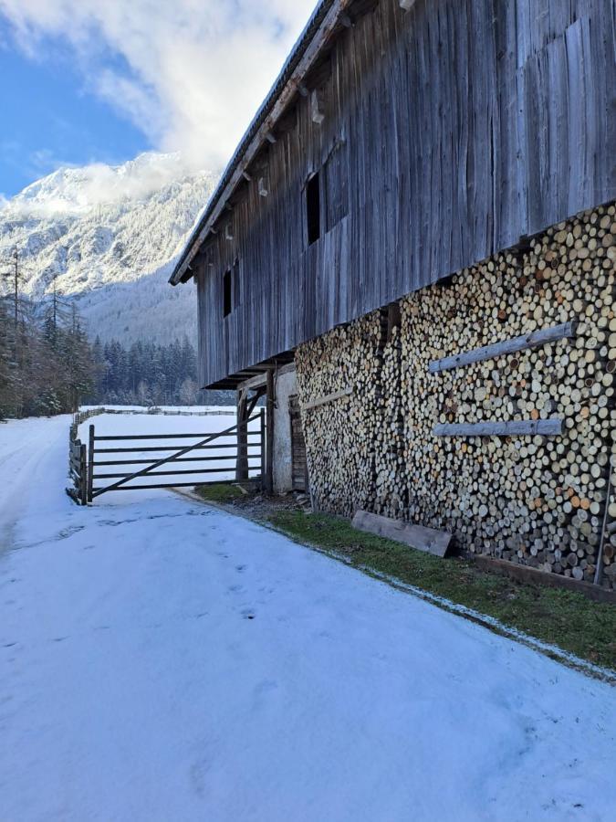 Mala Hisa Lägenhet Solčava Exteriör bild