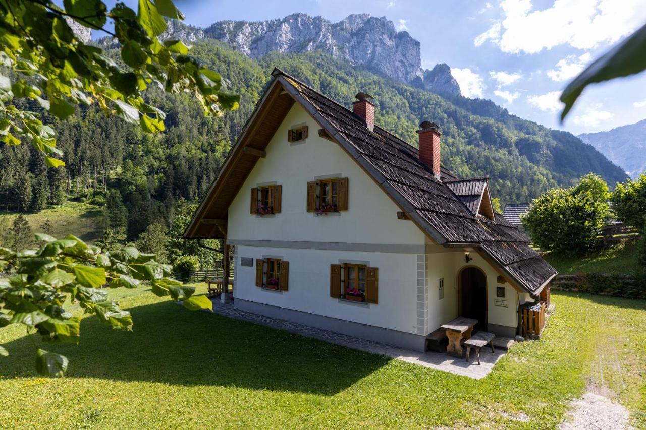 Mala Hisa Lägenhet Solčava Exteriör bild