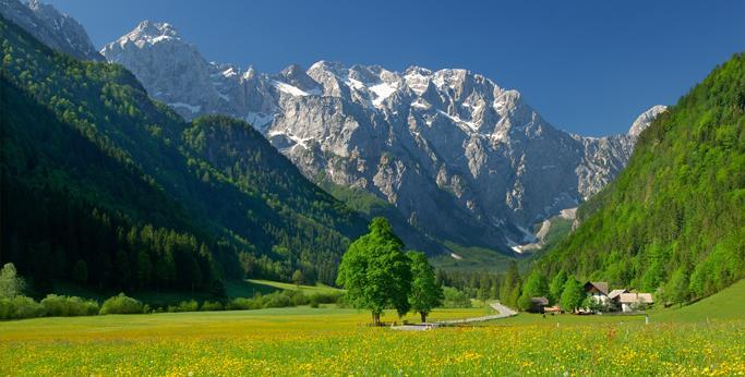 Mala Hisa Lägenhet Solčava Exteriör bild